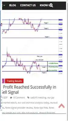 Play Daily Forex Signal