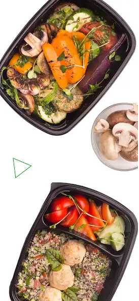 Play Dailymealz: Food Subscription as an online game Dailymealz: Food Subscription with UptoPlay