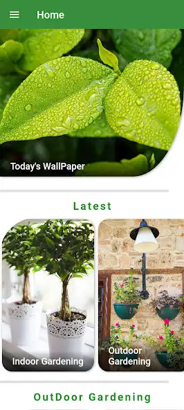 Play Daily Nature wallpapers as an online game Daily Nature wallpapers with UptoPlay
