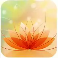 Free play online Daily Quotes with Image Editor  APK