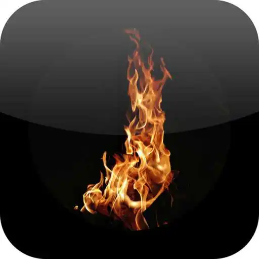 Play Daily Roast APK Play Daily Roast APK