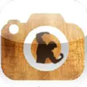 Free play online Daily Transformation APK