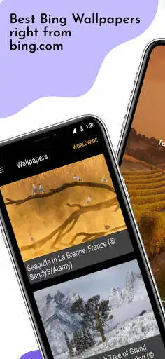 Play Daily Wallpapers Pro  and enjoy Daily Wallpapers Pro with UptoPlay