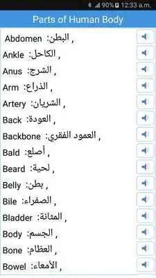 Play Daily Words English to Arabic