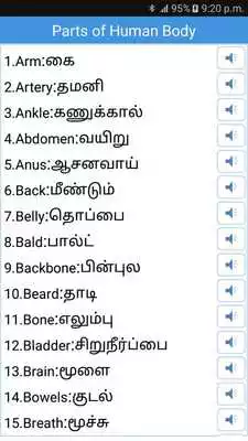 Play Daily Words English to Tamil