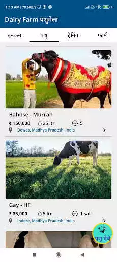 Play Dairy Farming as an online game online Dairy Farming with UptoPlay Play Dairy Farming as an online game Dairy Farming with UptoPlay