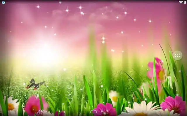 Play Daises Play Daises