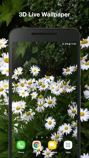 Play Daisies Live Wallpaper