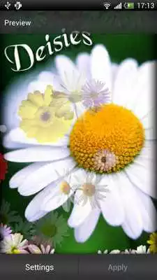 Play Daisies Live Wallpaper