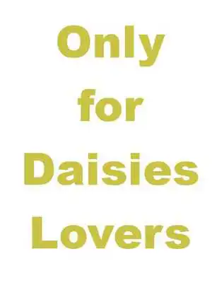 Play DaisyBG