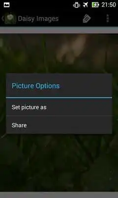 Play DaisyBG