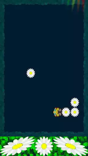 Play Daisy Crazy Chain LITE