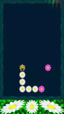 Play Daisy Crazy Chain LITE