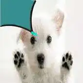 Free play online Daisy dog zipper lock screen APK