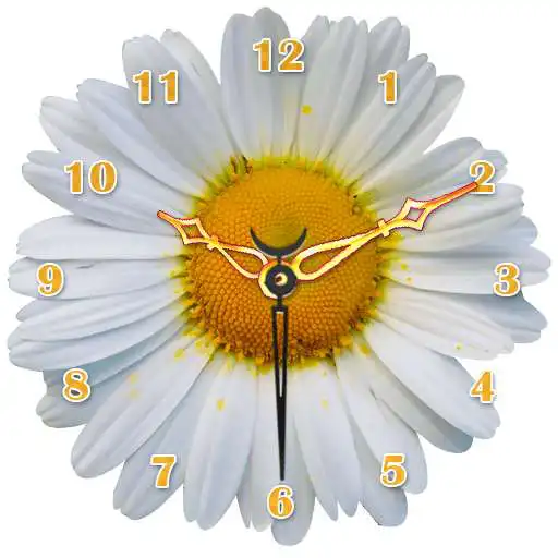 Free play online Daisy Flower Clock APK