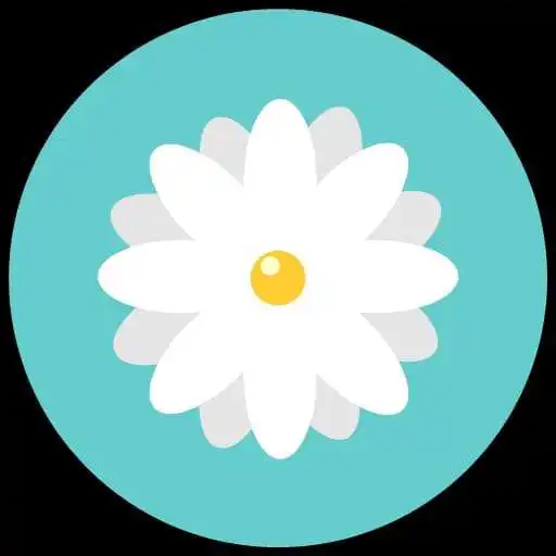 Run free android online Daisy Flower APK Run free android online Daisy Flower APK