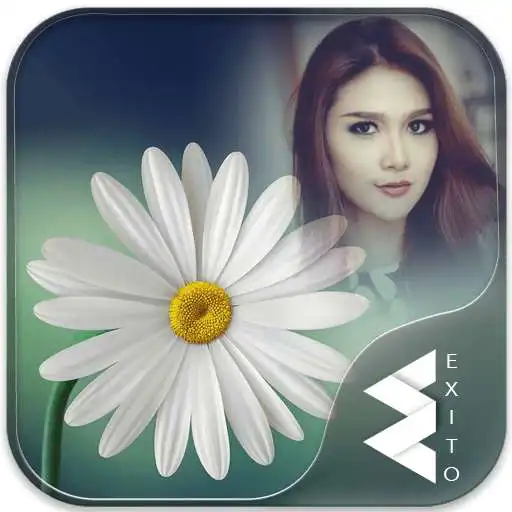Free play online Daisy Flower Photo Frames  APK