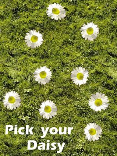 Play Daisy Fortune - Loves me Loves me not and enjoy Daisy Fortune - Loves me Loves me not with UptoPlay Play Daisy Fortune - Loves me Loves me not and enjoy Daisy Fortune - Loves me Loves me not with UptoPlay