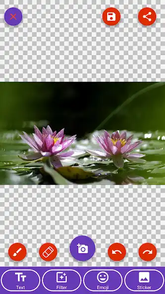 Play Daisy, Lily, Water Lily Wallpapers as an online game Daisy, Lily, Water Lily Wallpapers with UptoPlay
