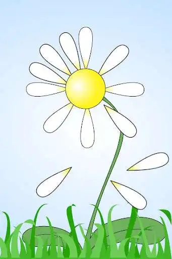 Play Daisy - Make a wish!  and enjoy Daisy - Make a wish! with UptoPlay