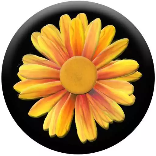 Play Daisy of Wishes APK