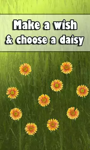 Play Daisy of Wishes as an online game online Daisy of Wishes with UptoPlay com.lokifrens.deseos Play Daisy of Wishes as an online game Daisy of Wishes with UptoPlay