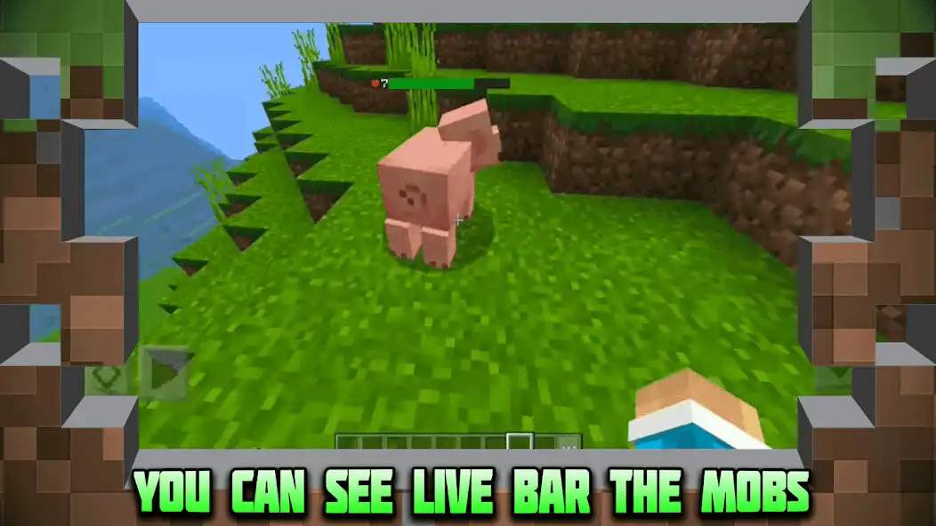 Play Damage Indicator Addon MCPE as an online game Damage Indicator Addon MCPE with UptoPlay