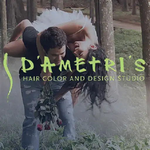 Play DAmetris Salon APK