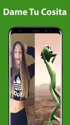 Play Dame Tu Cosita Videos Lyrics