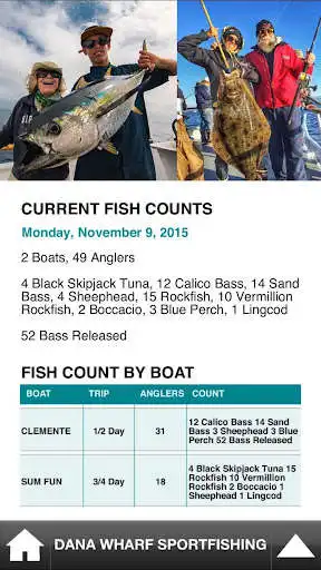 Play Dana Wharf Fish Count