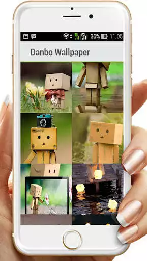 Play Danbo Wallpaper