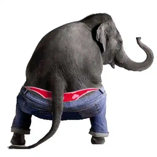 Play Dancing Talking Elephant APK