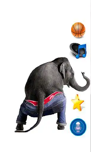 Play Dancing Talking Elephant  and enjoy Dancing Talking Elephant with UptoPlay