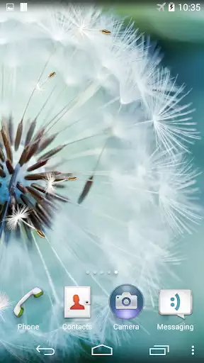 Play Dandelion Live Wallpaper  and enjoy Dandelion Live Wallpaper with UptoPlay