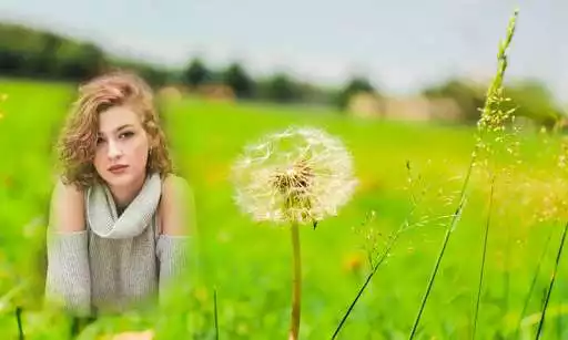 Play Dandelion Photo Frames
