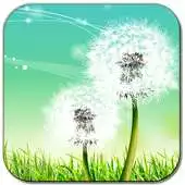 Free play online Dandelions APK Free play online Dandelions APK