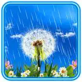 Free play online Dandelions Rainy Day APK