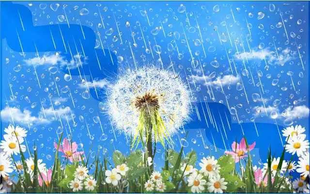 Play Dandelions Rainy Day