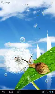 Play Dandelions