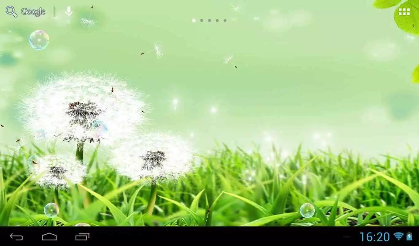 Play Dandelions