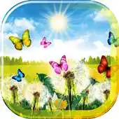 Free play online Dandelions Spring 2016 APK Free play online Dandelions Spring 2016 APK