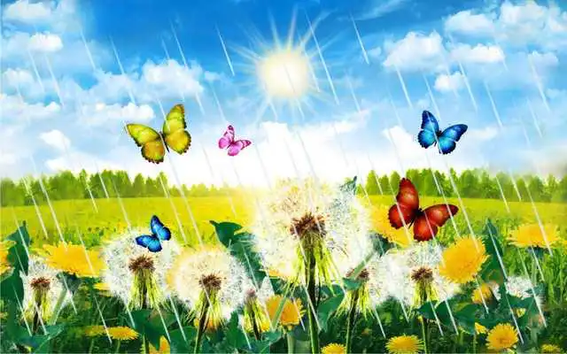 Play Dandelions Spring 2016