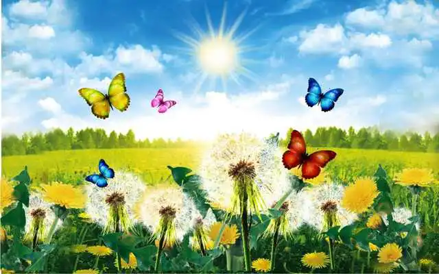 Play Dandelions Spring 2016