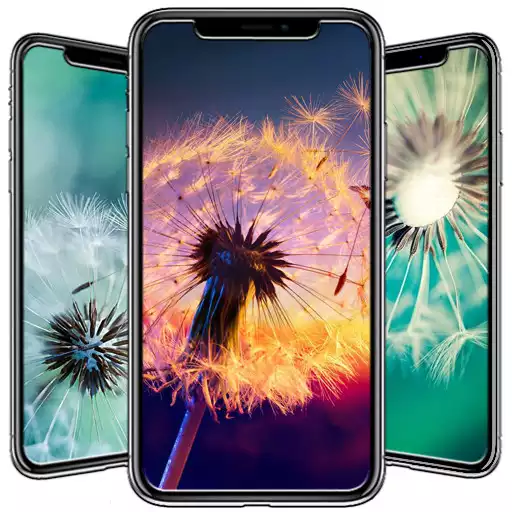 Free play online Dandelion Wallpaper  APK