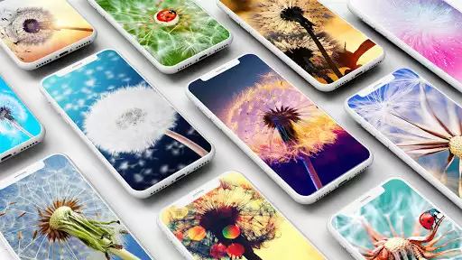 Play Dandelion Wallpaper and enjoy Dandelion Wallpaper with UptoPlay Play Dandelion Wallpaper and enjoy Dandelion Wallpaper with UptoPlay