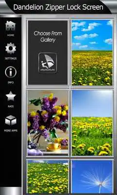 Play Dandelion Zipper Lock Screen