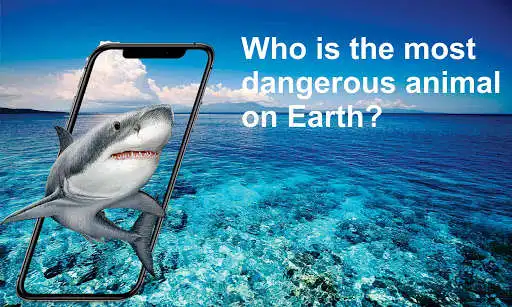 Play Dangerous animals of our planet  and enjoy Dangerous animals of our planet with UptoPlay