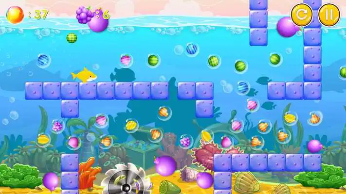 Play Dangerous Shark