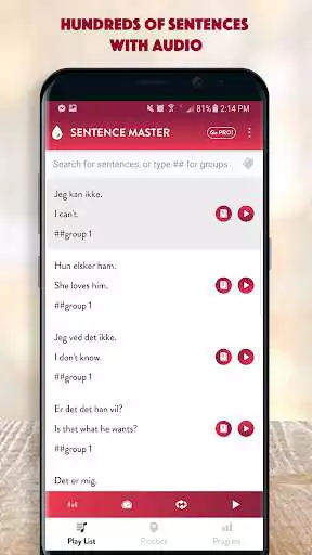 Play Danish Sentence Master as an online game Danish Sentence Master with UptoPlay