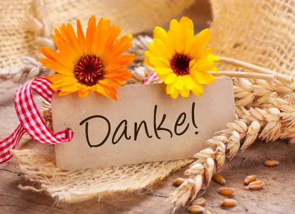 Play Danke Bilder 2023 as an online game Danke Bilder 2023 with UptoPlay